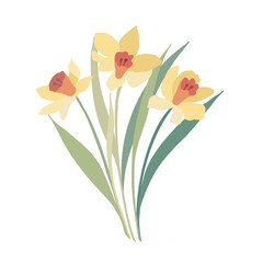 Botanical clipart with narcissus flowers 