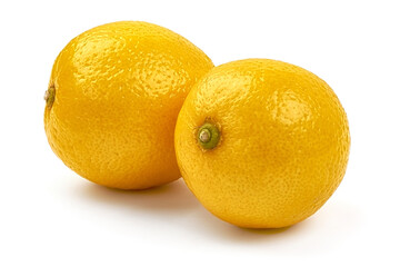 Lemon Citrus, isolated on white background