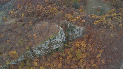 Fototapeta na wymiar Aerial nadir view of deciduous forest in autumn