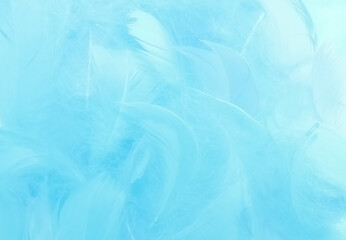 Obraz premium Colorful feathers On a white background
