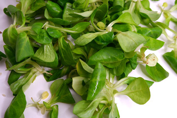 Vegetable salad with seeds. Cooking. Food.