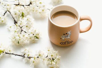 coffee mug on white background, coffee mug with cherry flowers 