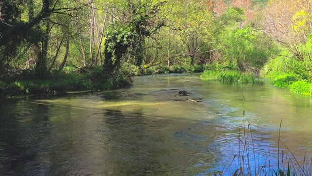 The clear and clean waters of the Tirino river in Abruzzo. It is distinguished by the constancy of the flow of its waters, mostly navigable. Abruzzo