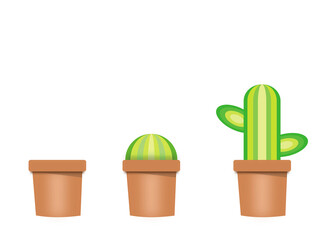 Set of three brown flower pot with cactus isolated on white background. Growth concepts.