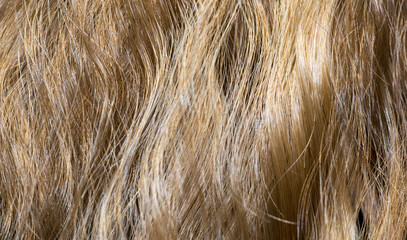 Wavy hair fragment as a texture background