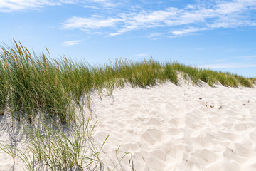 Sand dunes with dune grass on a sunny day