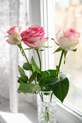 Bouquet of three pink roses in vase stands on windowsill