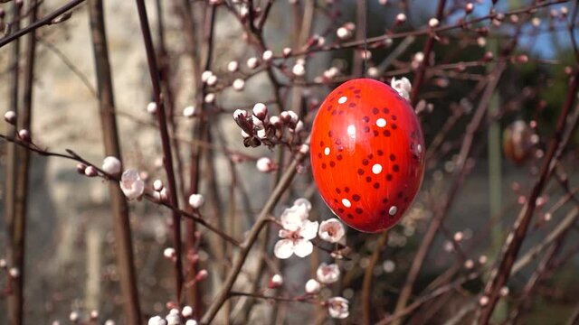 Sich drehendes, gemustertes rotes Osterei h&auml;ngt in Zweigen mit einigen Bl&uuml;ten im Freien