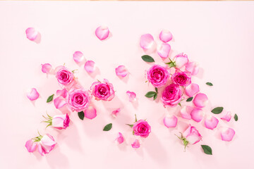 Pink roses