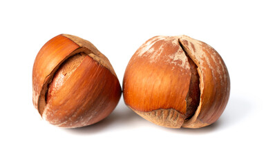 whole hazelnuts isolated on white background