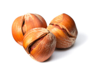whole hazelnuts isolated on white background