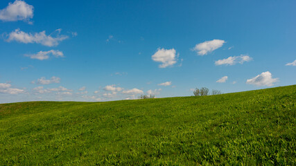 Blue sky and green grass on a hilltop on a sunny day, panoramic landscape.
