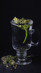 Glass still life flower