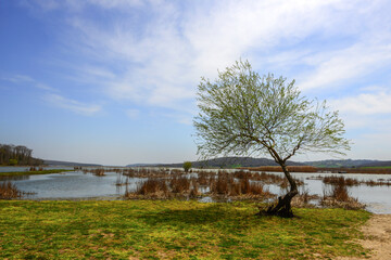 Fototapeta na wymiar lake view in spring, reflections in the lake. Terkos lake.