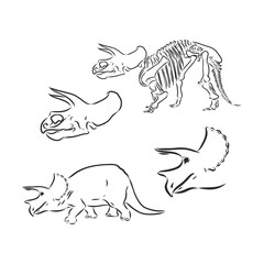 Dinosaur.Hand Drawn. triceratops dinosaur vector sketch illustration