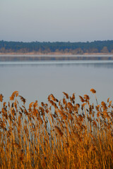 lake view in spring, reflections in the lake. Terkos lake.