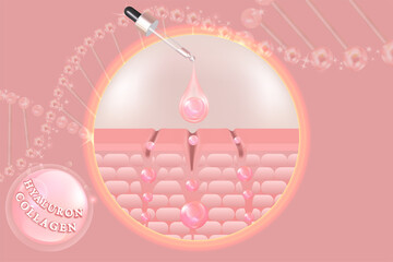 Hyaluronic acid skin solutions ad, pink collagen serum drops with cosmetic advertising background ready to use, illustration vector.