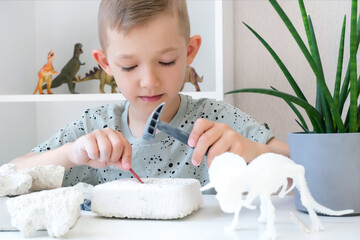 boy is engaged in the excavation of dinosaurs.