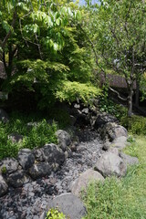 初夏の日差しと新緑