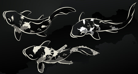 Set of Japanese koi. Vector illustration.
