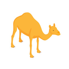 Zoo Camel Isometric Composition