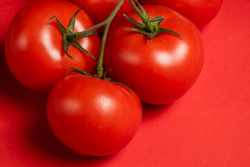 Juicy tomatoes on a bright red background. Fresh vegetables on a branch. Kitchen. background for restaurant.