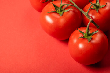 Juicy tomatoes on a bright red background. Fresh vegetables on a branch. Kitchen. background for restaurant.