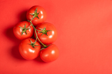 Juicy tomatoes on a bright red background. Fresh vegetables on a branch. Kitchen. background for restaurant.
