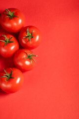 Juicy tomatoes on a bright red background. Fresh vegetables on a branch. Kitchen. background for restaurant.