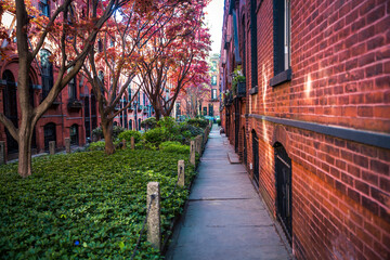 Mews in Brooklyn. Rows or courtyard of apartment buildings with lawn and trees in the middle