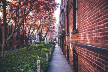 Mews in Brooklyn. Rows or courtyard of apartment buildings with lawn and trees in the middle