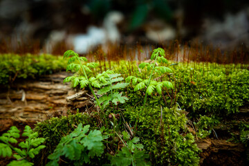 Hintergrund