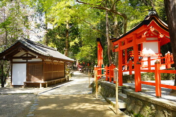 Sarake Shrine (Jinja) at Kasugataisha Shrine in Nara prefecture, Japan - 日本 奈良 春日大社 佐良気神社 (春日えびす)