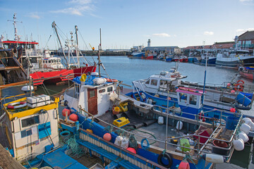 Harbor seafront town fishing port with boats in dock