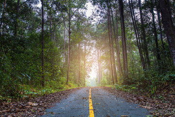 Landscape of Thung Salaeng Luang national park, Phitsanulok  province, Thailand.