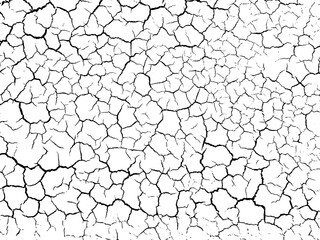  Background from cracks, scratches, chips.  Grunge texture black and white.  Vector background. Cracked earth.