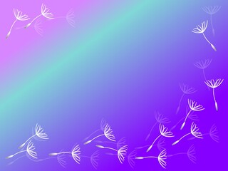 Fototapeta na wymiar White dandelion seeds on a multicolored background with an empty space to insert, Vector illustration