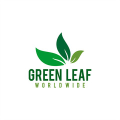 Natural Green leaf ecology nature element vector