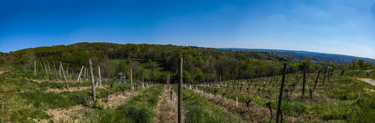 Fototapeta na wymiar Allassac (Corrèze, France) - La Chartroulle - Vue panoramique des vignobles dominant la vallée de la Vézère