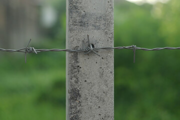 A cement posts for fixing barbed wire.