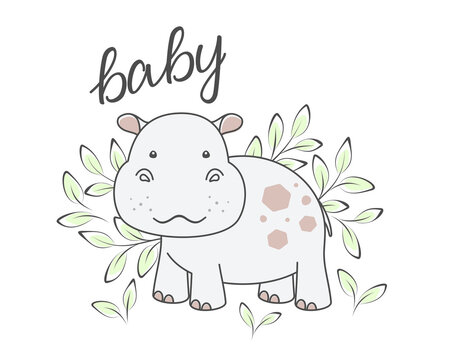 Little hippo, twigs with leaves and baby hand lettering isolated on a white. Cute hippopotamus, tiny behemoth. Vector illustration, design template for poster, greeting card, kids t-shirt and apparel