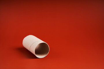 An empty cardboard toilet paper tube close up