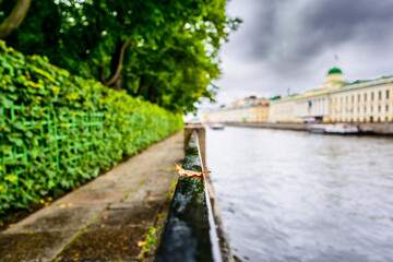 Fototapeta premium Rainy autumn day in the city, alley in the park near the river. Close up view from the handrail on which lies the oak leaf on the embankment level