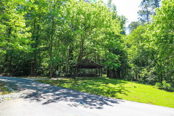 a brown wooden pergola with benches underneath surrounded by lush green trees and grass in the park...
