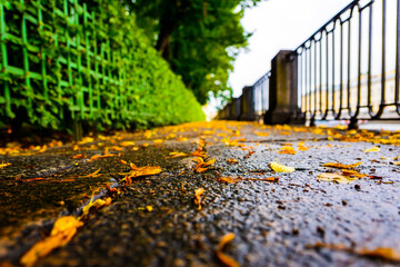 Rainy autumn day in the city, an alley in the park running along the embankment. Close up view from the level of granite pavement