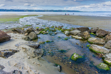 Creek And Puget Sound 2