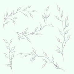 Vector line flower isolated. Element for design. Hand-drawn contour lines and strokes.