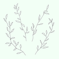 Vector line flower isolated. Element for design. Hand-drawn contour lines and strokes.