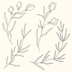 Fototapeta premium Vector line flower isolated. Element for design. Hand-drawn contour lines and strokes.