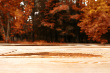 Naklejka na ściany i meble Empty wood flooring with puddles and blurred background from autumn red forest. Shallow depth of field